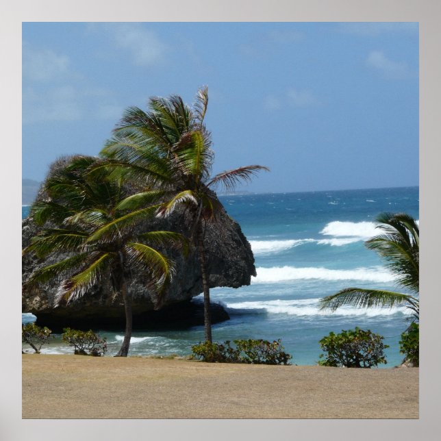 Affiches Beauté de la Barbade (Devant)