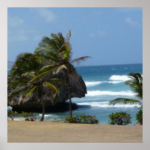 Affiches Beauté des Barbade