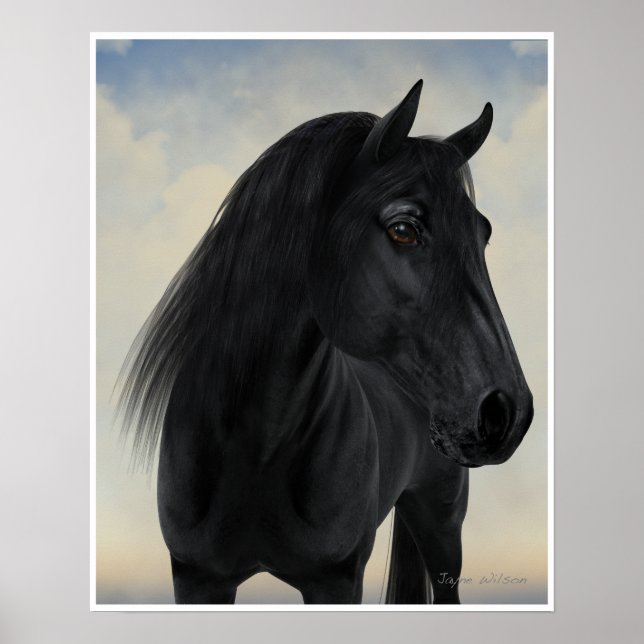 Affiches Beauté noire - Portrait de Cheval friésien noir (Devant)