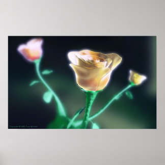 Affiches Beauté subtile