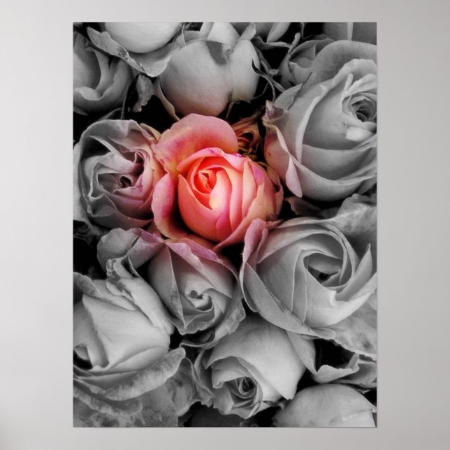 Affiches Beauté unique (Devant)