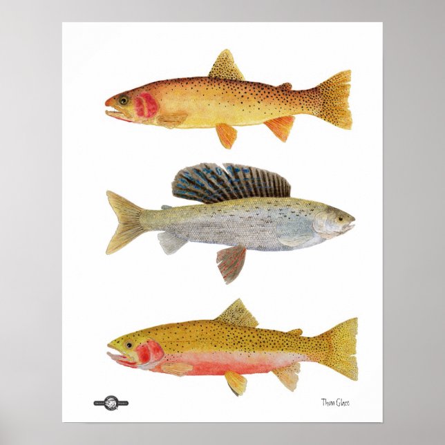 Affiches Beautés du Montana (Devant)