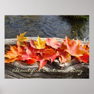 Affiches Beautiful Autumn Day art prints gifts Fall Leaves