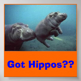 Affiches bébé-hippo, des hippopotames ? ?