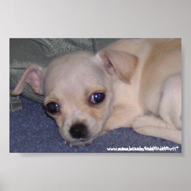 Affiches Bébé Impression. (Devant)