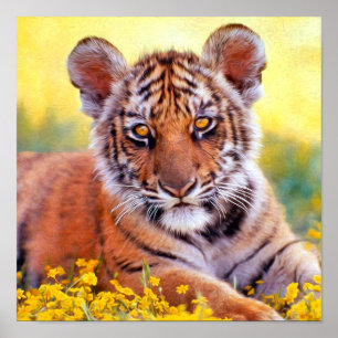 Affiches Bébé Tigre
