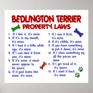 AFFICHES BEDDLINGTON TERRIER PL2