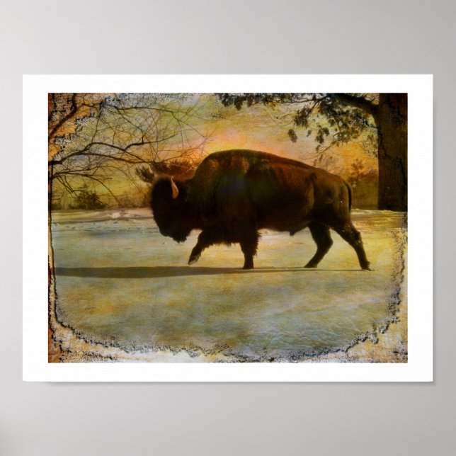 Affiches Befalling Earth (Devant)