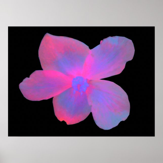 Affiches Bégonia Fluorescent (Devant)