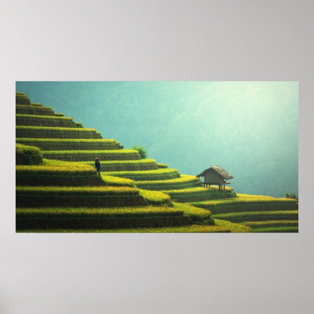 Affiches Belle Asie (Devant)