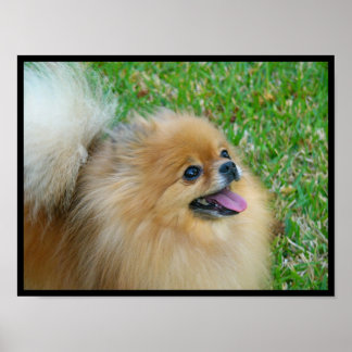 Affiches Belle blonde