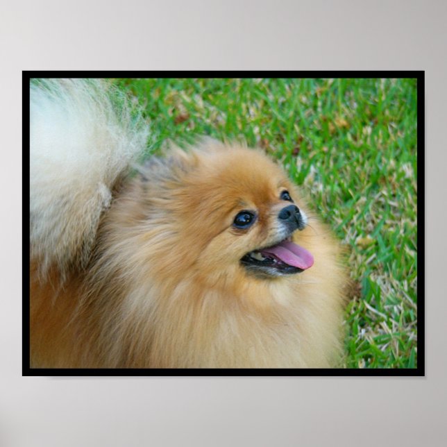 Affiches Belle blonde (Devant)