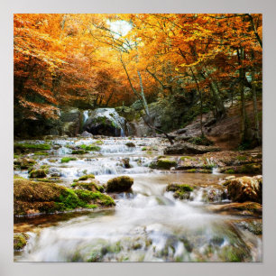 Affiches Belle cascade en forêt, automne