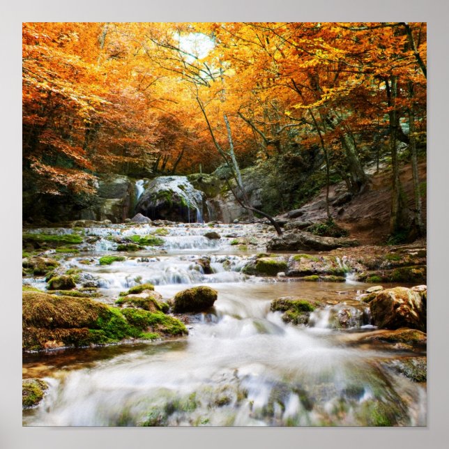 Affiches Belle cascade en forêt, automne (Devant)