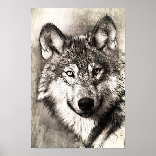 Affiches Belle Esquisse De L Affiche Du Visage Du Loup Zazzle Fr