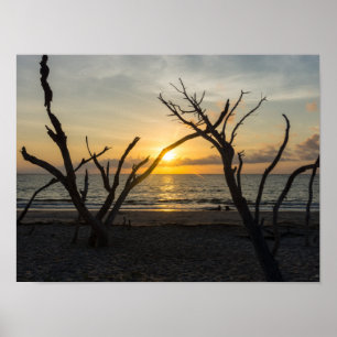 Affiches Belle folie matinale