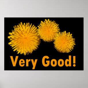 Affiches Belle marguerite d'été jaune fleurs très bon