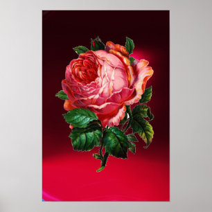 AFFICHES BELLE ROSE ROSE