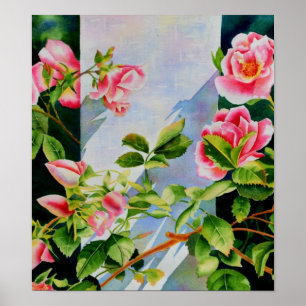 Affiches Belle rose rose rouge roses blanc aquarelle floral
