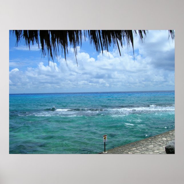 Affiches Belle vue sur l'océan (Devant)