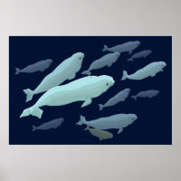Beluga Whale Art Imprimer Marinelife Whale Peintur