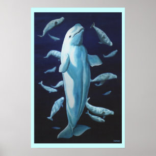 Affiches Beluga Whale Art Imprimer Marinelife Whale Peintur