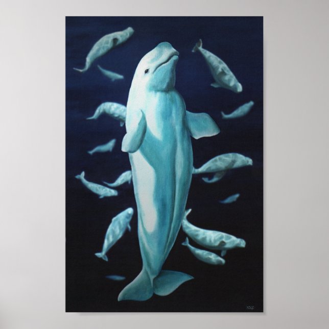 Affiches Beluga Whale Art Print Marinelife Whale Painting (Devant)