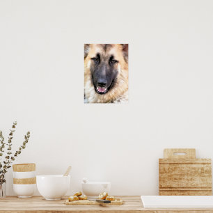 AFFICHES BERGER ALLEMAND