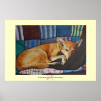 berger allemand du labrador chien de race mixte