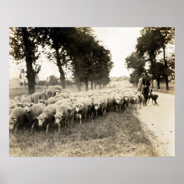 Affiches Berger de France 1921 (Devant)