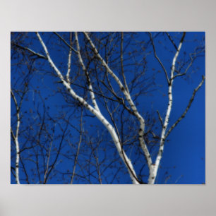Affiches Béridon blanc Ciel bleu Nature Orton Art