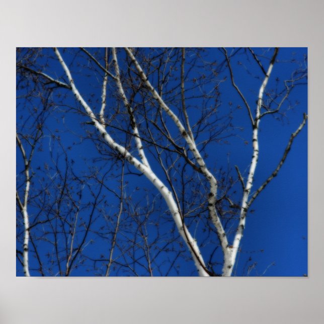 Affiches Béridon blanc Ciel bleu Nature Orton Art (Devant)