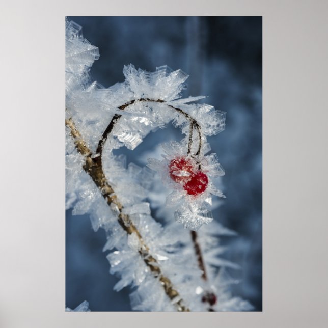 Affiches Berry (Devant)