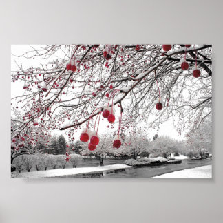 Affiches Berry d'hiver K&K