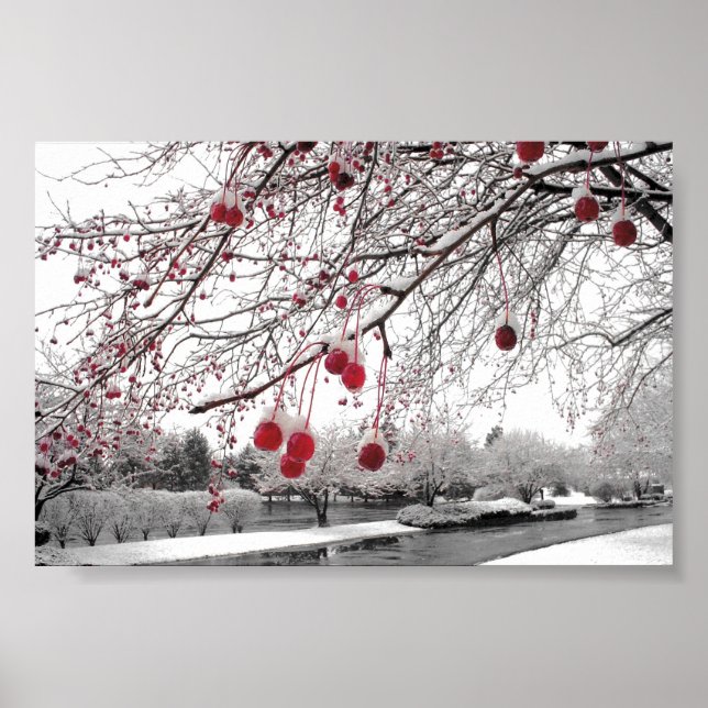 Affiches Berry d'hiver K&K (Devant)