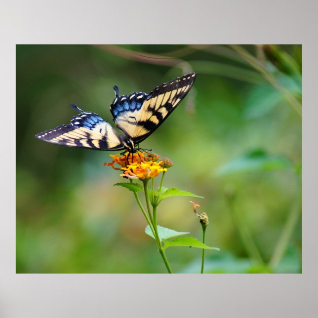 Affiches BeurreFly'n (Devant)