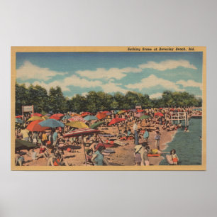 Affiches Beverley Beach, MD - Sunbathing Scene