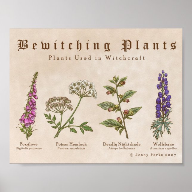 Affiches Bewitting Plante Print (Devant)