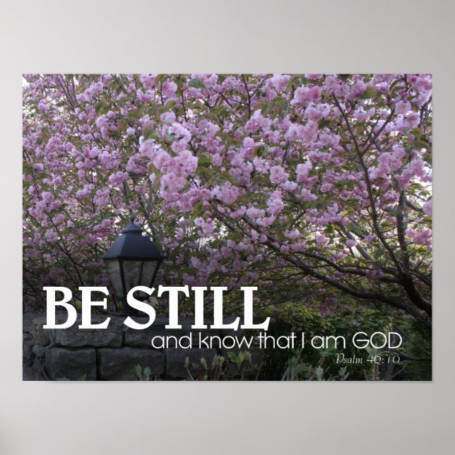 Affiches Bible Verse Cerise Blossoms (Devant)
