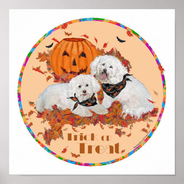 Affiches Bichon Frise Halloween (Devant)