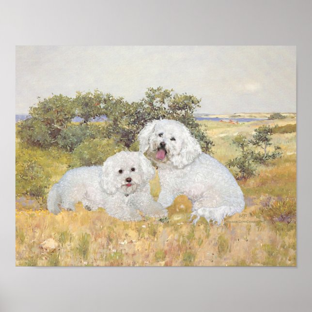 Affiches Bichon Frise Meadow View (Devant)