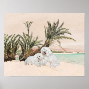 Affiches Bichon Frise Plage de Palmyre