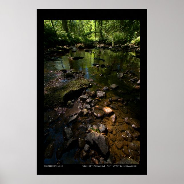 Affiches Bienvenue dans la jungle (Devant)