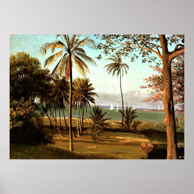 Affiches Bierstadt - Scène Floride (Devant)