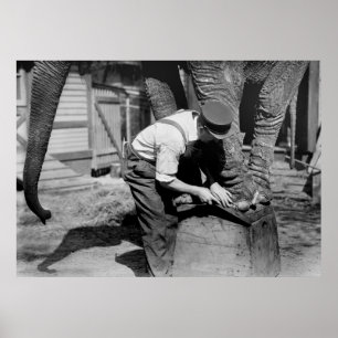 Affiches Big Pedicure, années 1910