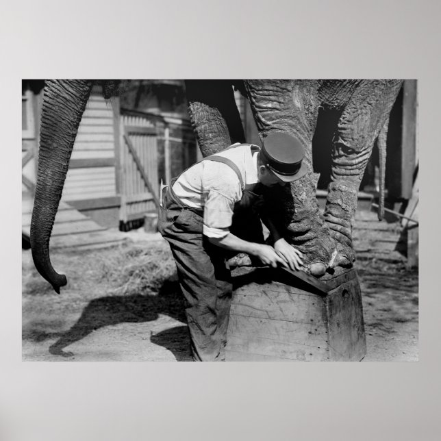 Affiches Big Pedicure, années 1910 (Devant)