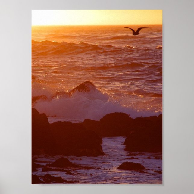 Affiches Big Sur (Devant)
