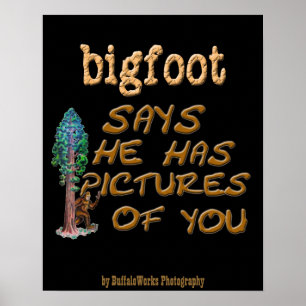 Affiches Bigfoot A Des Photos