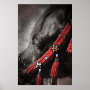 Affiches Bijou du désert