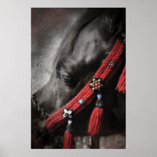 Affiches Bijou du désert